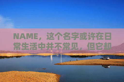 NAME，这个名字或许在日常生活中并不常见，但它却在某些领域里扮演着重要的角色。今天，让我们一起来探索这个名字背后的故事和意义
